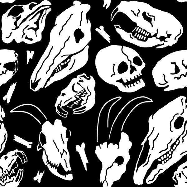 Wicked Clothes Animal Bones Socks 4 Wicked Clothes Animal Bones Socks
