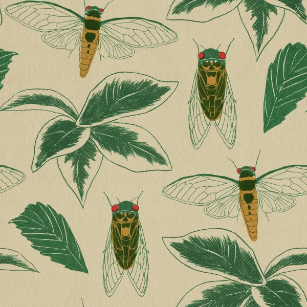 Wicked Clothes Cicada High-Waisted Underwear 5 Wicked Clothes Cicada High-Waisted Underwear