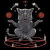 Wicked Clothes 'Devious Cat' Shirt
